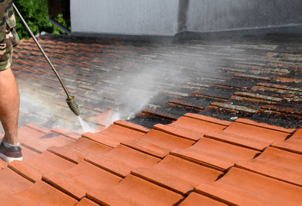 Best Pressure Washing Siding  in Pontoon Beach, IL