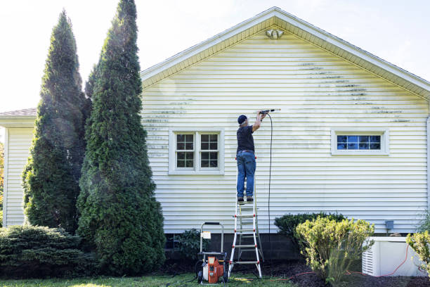 Best Garage Pressure Washing  in Pontoon Beach, IL